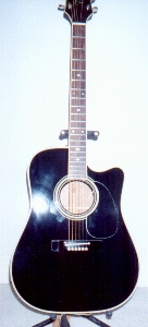 Takamine ef341c