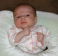 Wanna' Fight?