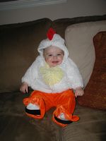 Little Chicken