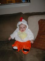Little Chicken