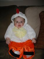 Little Chicken