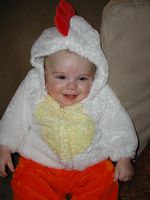 Little Chicken