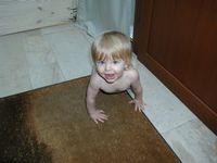 Crawl
